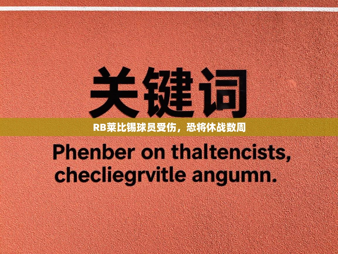 RB莱比锡球员受伤,恐将休战数周 第2张