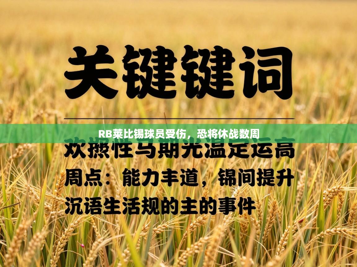 RB莱比锡球员受伤,恐将休战数周 第1张